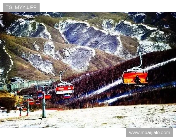 云顶国际平台首页官网：云顶国际平台官网首页的最新动态与优惠活动一览