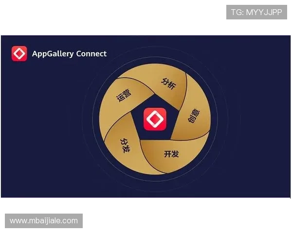 在AG启航厅娱乐平台中如何有效管理账户信息保障个人隐私安全