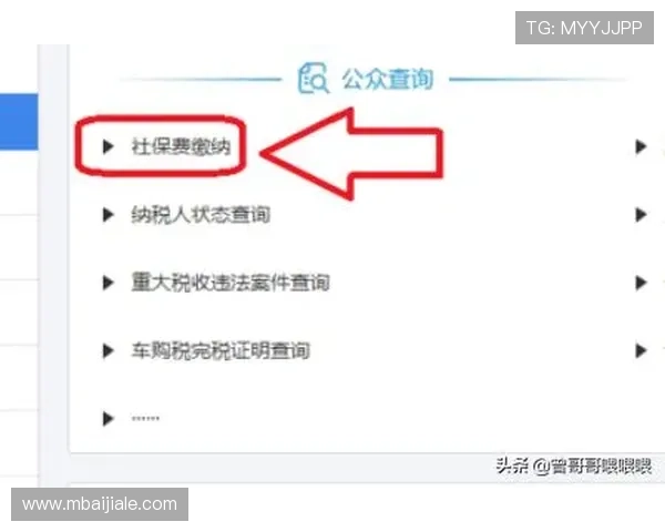 真人电子视讯注册流程详解帮助新手快速入门掌握技巧